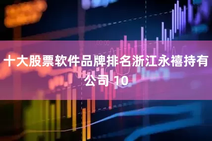 十大股票软件品牌排名浙江永禧持有公司 10