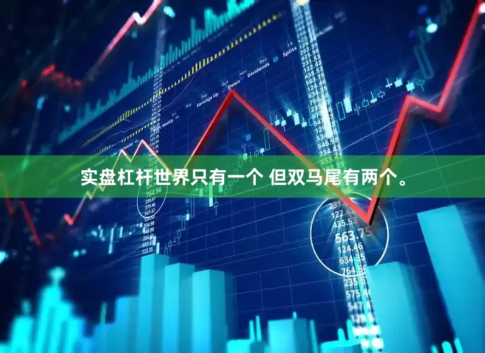 实盘杠杆世界只有一个 但双马尾有两个。