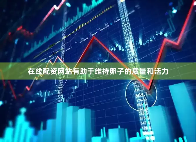 在线配资网站有助于维持卵子的质量和活力